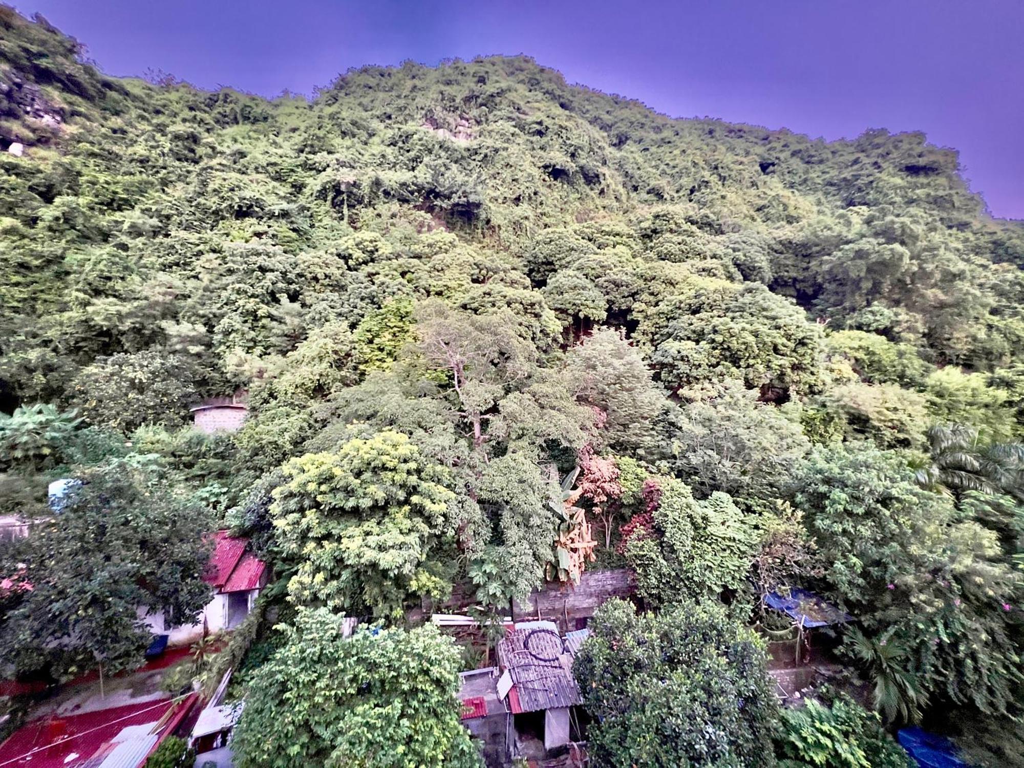 Manh Vuong Hotel Catba Dong Khe Sau Екстер'єр фото